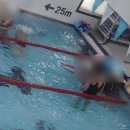 대한키즈 스윔스쿨 삼송캠퍼스 이미지
