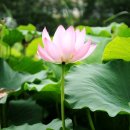 고부면사무소 이미지