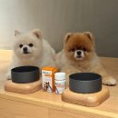 하나벳 | 강아지 기관지 협착증, 강아지 기침, 거위소리, 켁켁거림, 페노비스 벳 브로멜라인 급여 후기