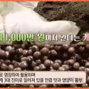 상어식당 이미지