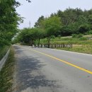 구산면484 네이버블로그
