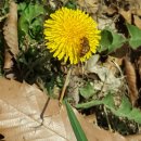 증산-006 이미지