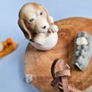 튼튼내이사랑치과의원 이미지