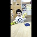 띵까띵까 이미지