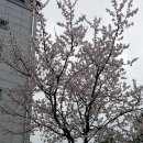 공이2 경로당 이미지