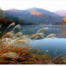 세동반점 이미지