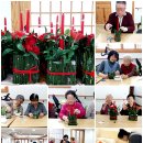 원예테라피(야간) 이미지