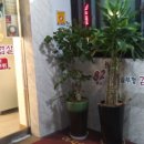 82wa김치솥뚜껑삼겹살