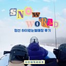 하이원 스노우월드 눈썰매장 성인 솔직후기 꿀팁총정리