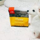 고메이 퍼피 | 견생 11개월차, 아기강아지 찹쌀이가 그동안 먹었던 퍼피사료 모음