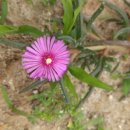 소랑in제주 이미지