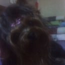 수원역 육교사거리 이미지