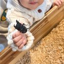 슬아어린이집 | 2025년을 돌아보며