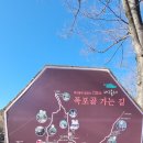 팔공산올레길 7코스 이미지