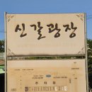 청솔타운2 | 청년농부 버섯칼국수, 푸짐함에 반한 신갈외식타운 용인 신갈동 맛집 솔직후기(경기용인 맛집)
