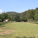 비발디캠핑파크 이미지