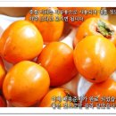 지리산 농장 이미지