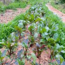 운정농장 이미지