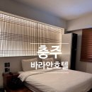 바라안 호텔 이미지