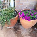 성동리 경로당 이미지