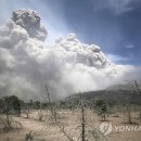 제2 관용농장 이미지