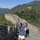 장성-27 | 중국 베이징 자금성 무텐위장성 일일투어 후기, 써니투어 예약 추천