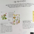 (주)메드컴 | 23년도 2월호 앙쥬맘박스 예비맘 박스 언박싱 + 솔직 후기(작성 완료!)