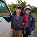 남원읍-95 이미지