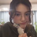 로얄안경 이미지