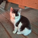 아이요트민박 | 고흥 여행 거금도펜션ㅣ바다 바로 앞 오션뷰 앙뜰펜션