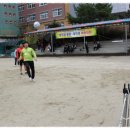 대구도림초등학교 이미지