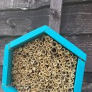 Bee HOTEL 이미지