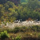 외씨버선길(조지훈문학길) 이미지