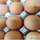 덕연농장 이미지