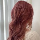 이비스헤어11