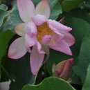 숙희농장 이미지