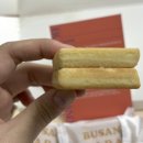 바다샌드 이미지