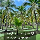 안양착한푸드마켓 | 치앙마이 꼭 가 볼 만한 곳 코코넛마켓 사진찍고 마켓구경하기 좋아요