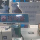 강원온누리약국 네이버블로그