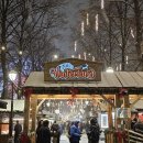 왕궁작은도서관 | [노르웨이] 오슬로 크리스마스 마켓 위치 / 일정 / 방문 후기 / 유럽 크리스마스 관광 추천