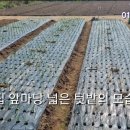 백년공인중개사사무소 이미지