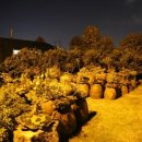 이익선 농장 이미지