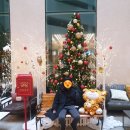 한국더마힐스 | 12월의 제주도 가족여행 - 3일차(호텔 시리우스)