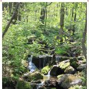 청태산자연휴양림 이미지