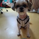 뭐줄까오늘간식 이미지