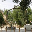 에덴동산 이미지