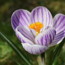 그린에버 이미지