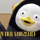 블루험 이미지