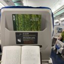 26년 6월 셋째 주 일상 돌아보기 (부제: 강릉 1박 2일 혼자 여행)