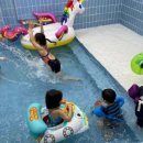 포레포레 이미지